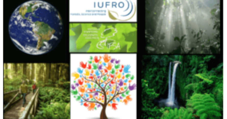 IUFRO-collage.png